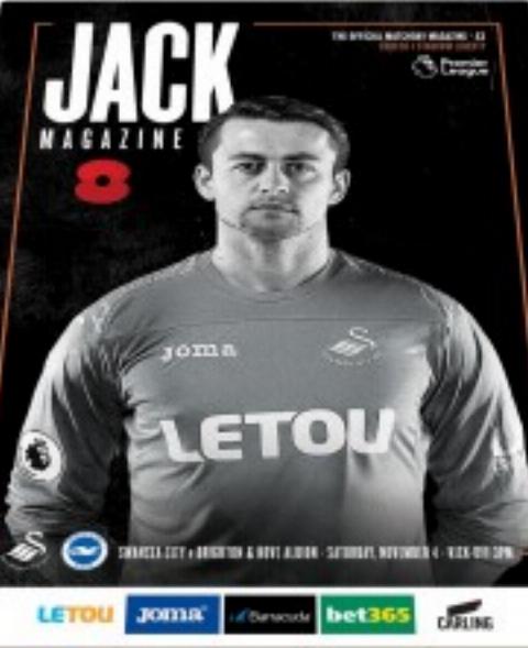 SWANSEA CITY v BRIGHTON 2017/18